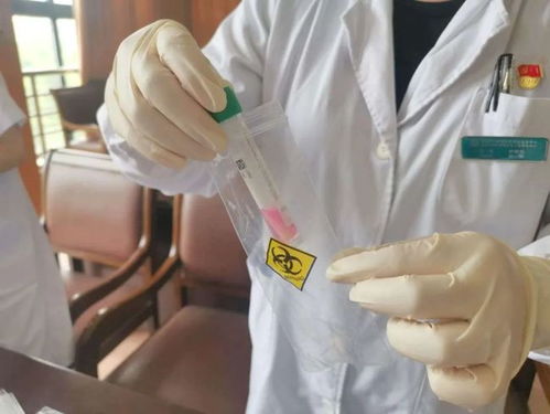 嘉定社區衛生服務中心 核酸檢測采樣與環保科技技術開發服務介紹