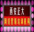 西安正大網絡 以軟件開發與高端網站定制為核心，驅動整合網絡營銷與技術創新